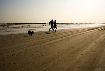 man and woman jogging on the beach with their dog