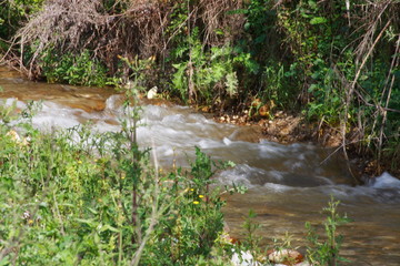 ruisseau