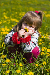 girl is smelling dandelion