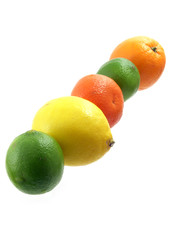 citrus fruit