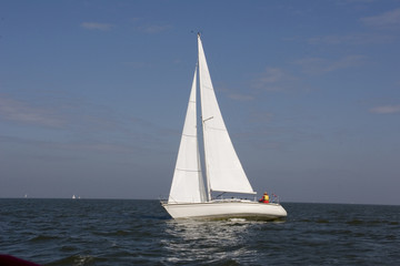 Fototapeta premium sailboat