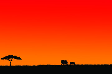 Obraz na płótnie Canvas elephant red