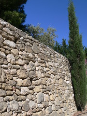 mur et cyprès