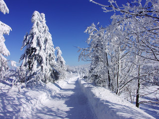 snowy way