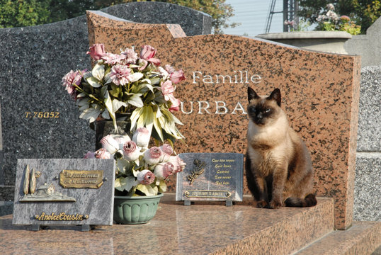 tombe