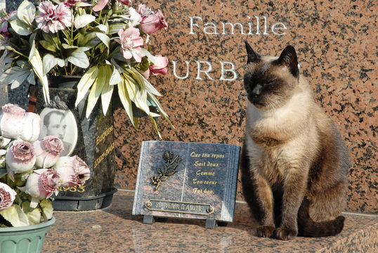 tombe