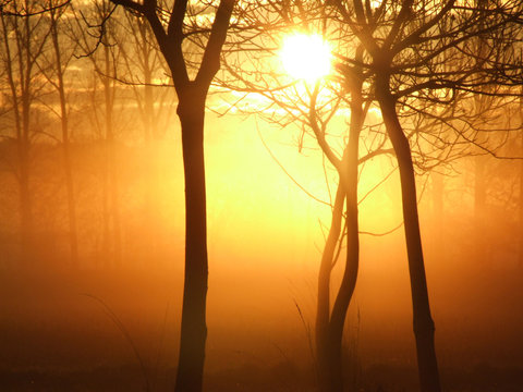 sunrise on a misty morning