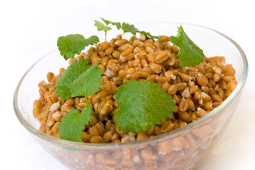 gekochte getreidekörner in zimtmarinade