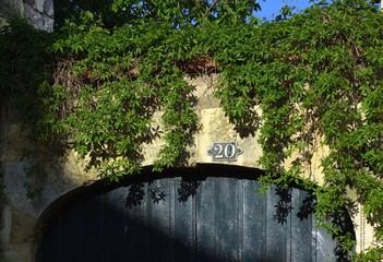 portail en bois et vigne-vierge