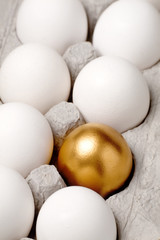 golden egg