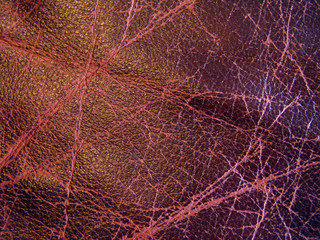 leather texture