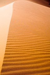 diagonal composition of the dunes