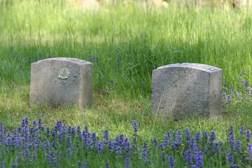 blue flowers and tomb stones