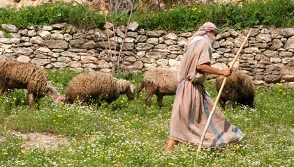 Papier Peint photo Lavable moyen-Orient shepherd and flock