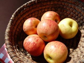 panier de pommes à la campagne
