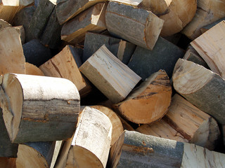 holz