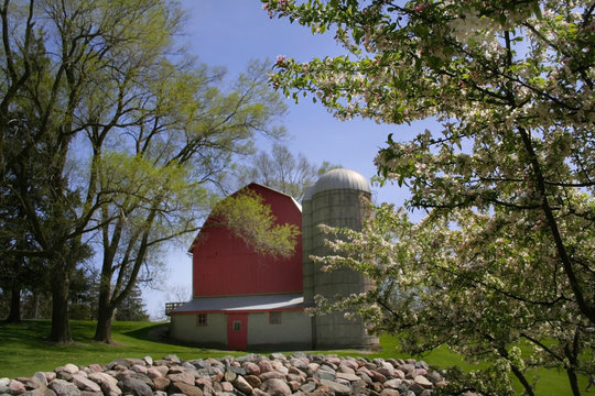spring scean