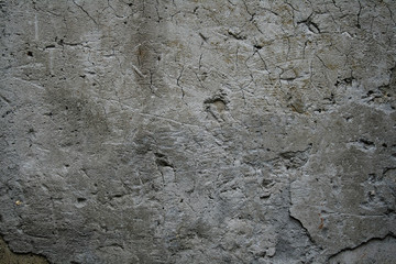 wall