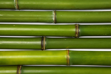 texture bambou