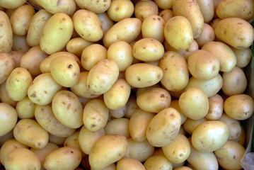 kartoffeln