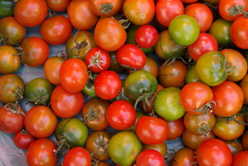 tomaten