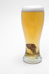 beer and car keys - drunk driving concept