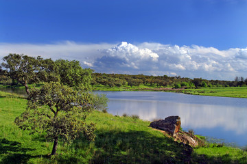 Fototapeta premium alentejo landscape