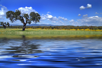 alentejo landscape