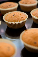 muffins