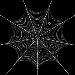 giant spider web - 3350553