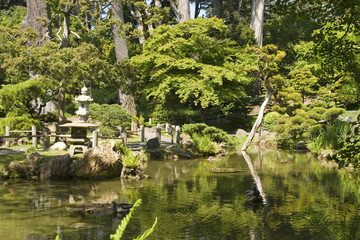 Obraz premium the japanese tea garden water reflection
