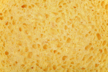 eponge
