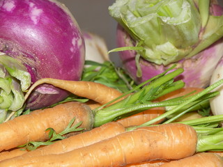 aliments