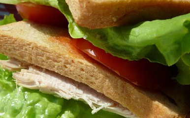 club sandwich gros plan 1