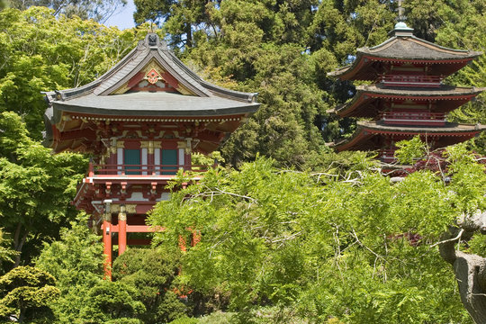 the japanese tea garden gate and pagoda