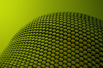 a reptilian selfridges