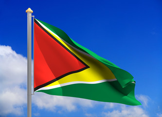Fototapeta na wymiar Guyana flag (include clipping path)