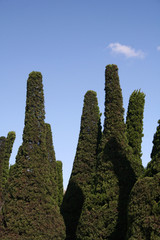 are they talking to each other?