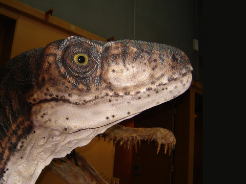 dinosaurus