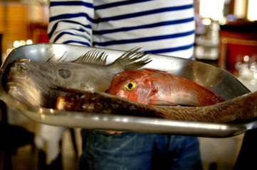 la bouillabaisse