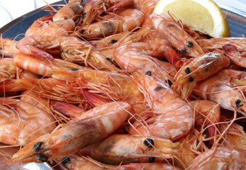 prawns