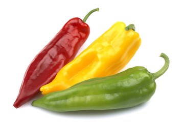 paprika tricolor