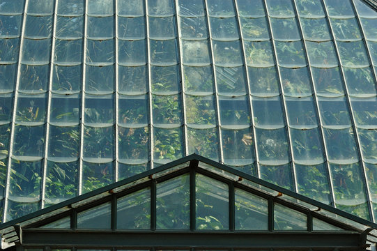 greenhouse in lyon (tête d'or park) france