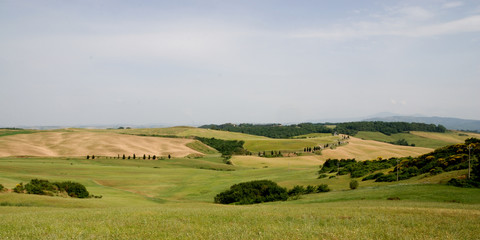 Fototapeta na wymiar Casciano krajobrazu Murlo (Siena)
