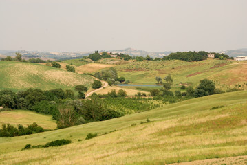 Fototapeta na wymiar Casciano krajobrazu Murlo (Siena)