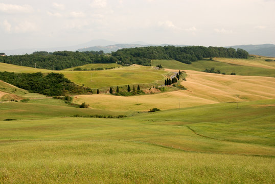 casciano di murlo, paesaggio (siena)