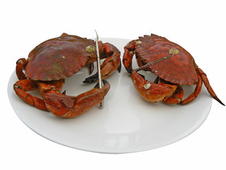 two crabs on a plate