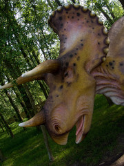 triceratops (triceratops horridus )