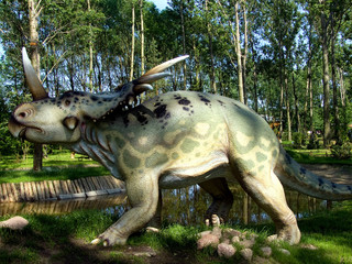 centrozaur (centrosaurus apertus)