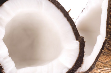 open coconut
